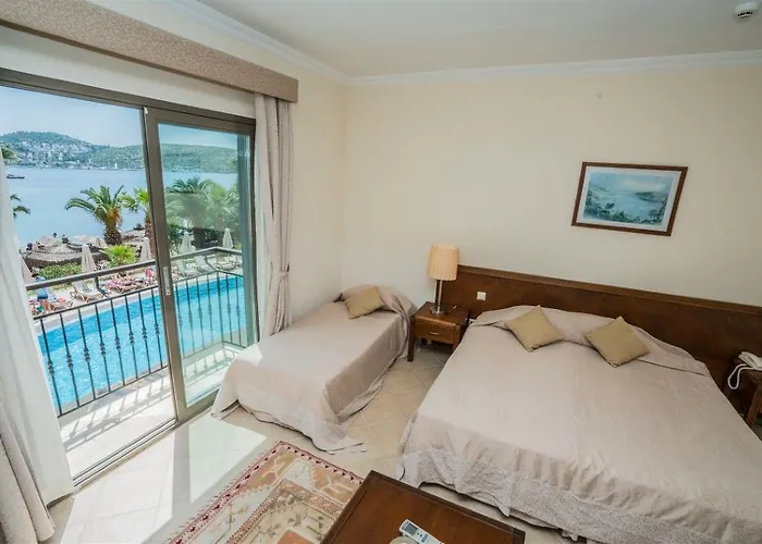 Costa 3s 博德鲁姆